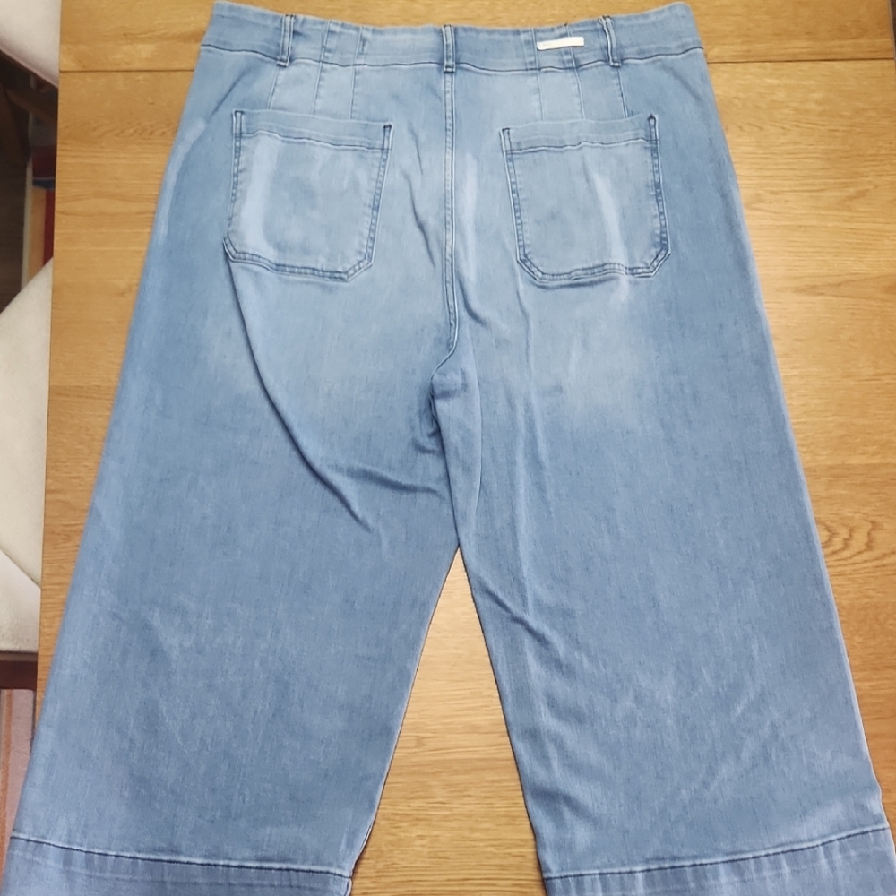 Anthropologie Blue Denim Jeans